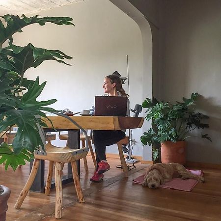 Chaya B&B Boutique Meksyk Zewnętrze zdjęcie