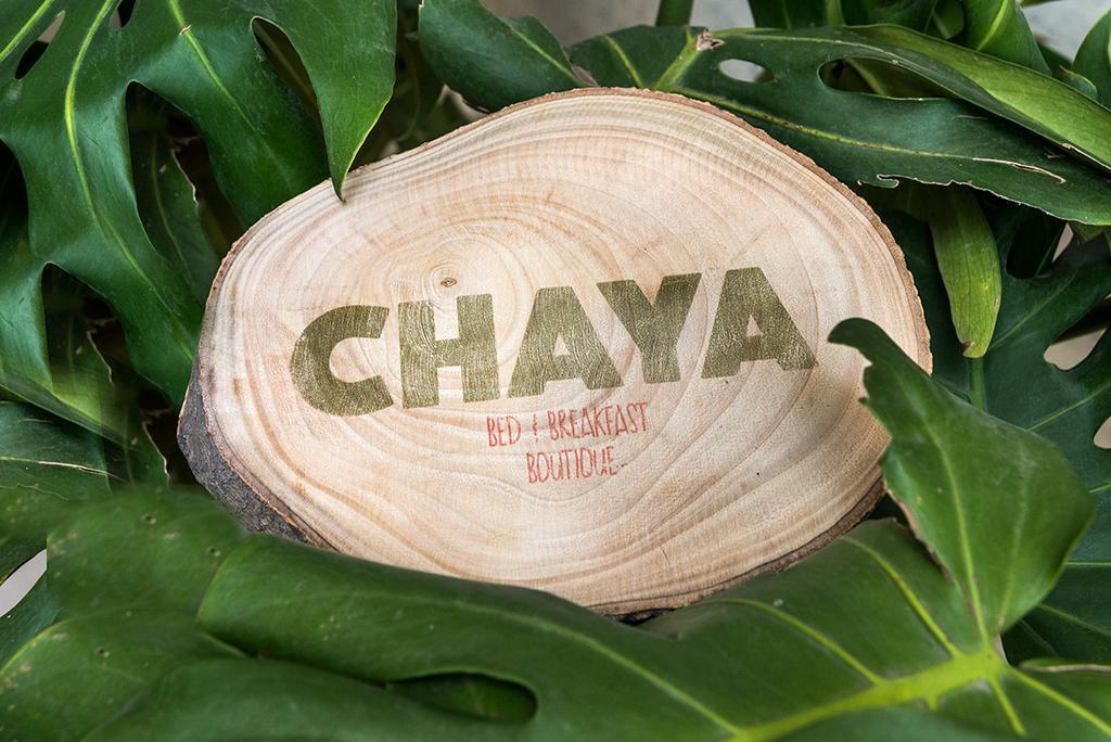 Chaya B&B Boutique Meksyk Pokój zdjęcie