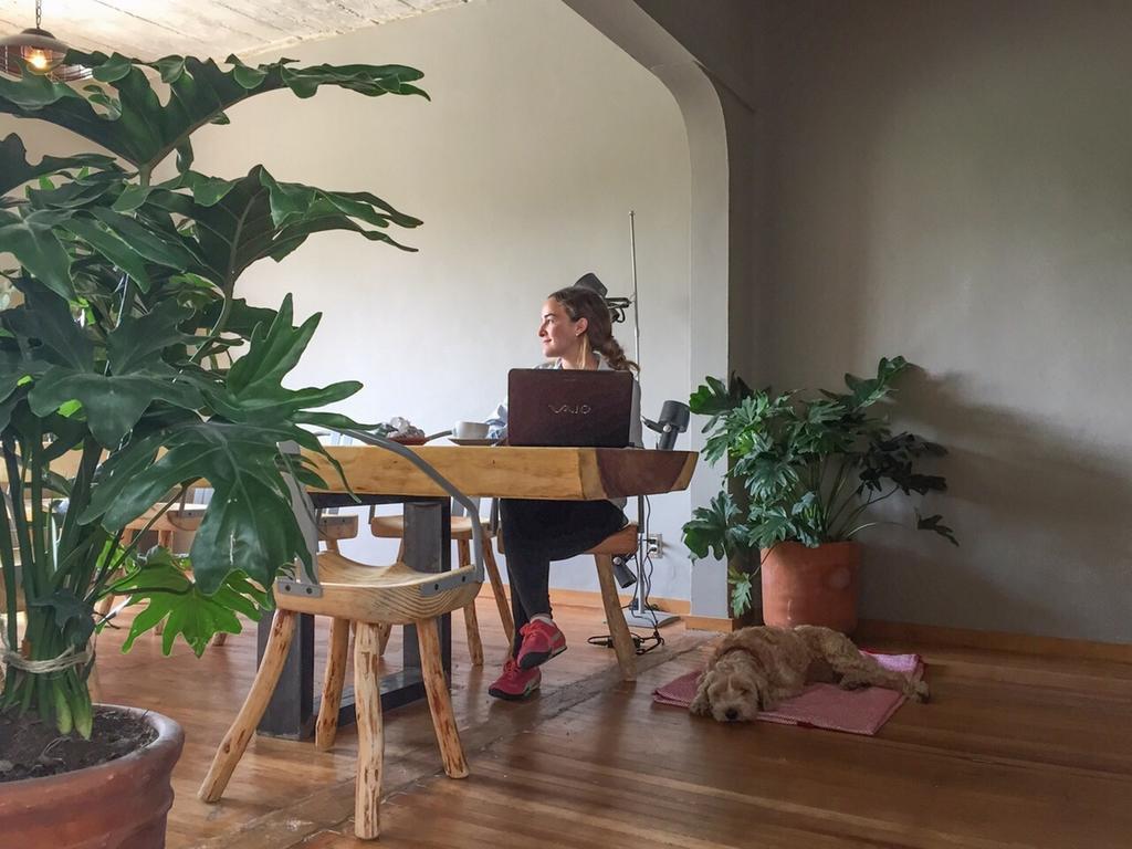 Chaya B&B Boutique Meksyk Zewnętrze zdjęcie