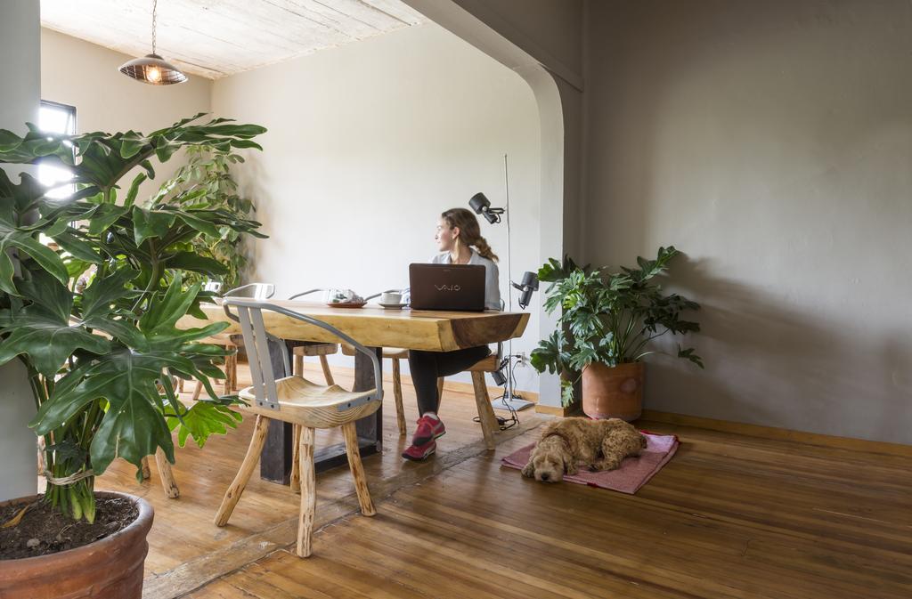 Chaya B&B Boutique Meksyk Zewnętrze zdjęcie
